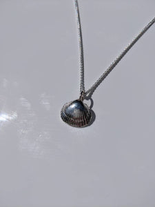 solid silver seashell necklace